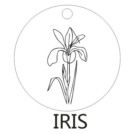 Dainty Floral Inspired Pendant Jewelry | Flora Collection | Budget2Beauty