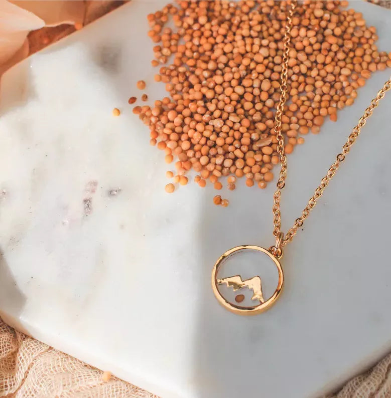 Dainty Real Mustard Seed Faith Can Move Mountains Stainless Steel Christian Pendant Jewelry Necklace | Budget2Beauty