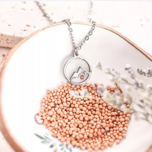 Dainty Real Mustard Seed Faith Can Move Mountains Stainless Steel Christian Pendant Jewelry Necklace | Budget2Beauty